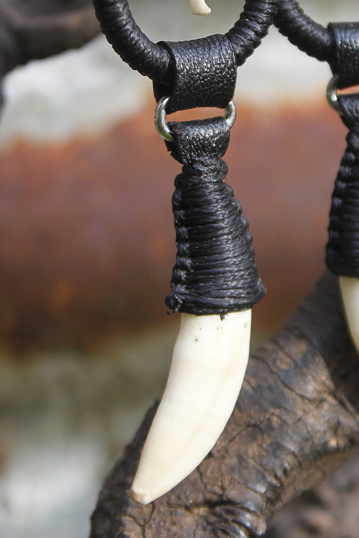 Fox fang & snake vertebrae earrings