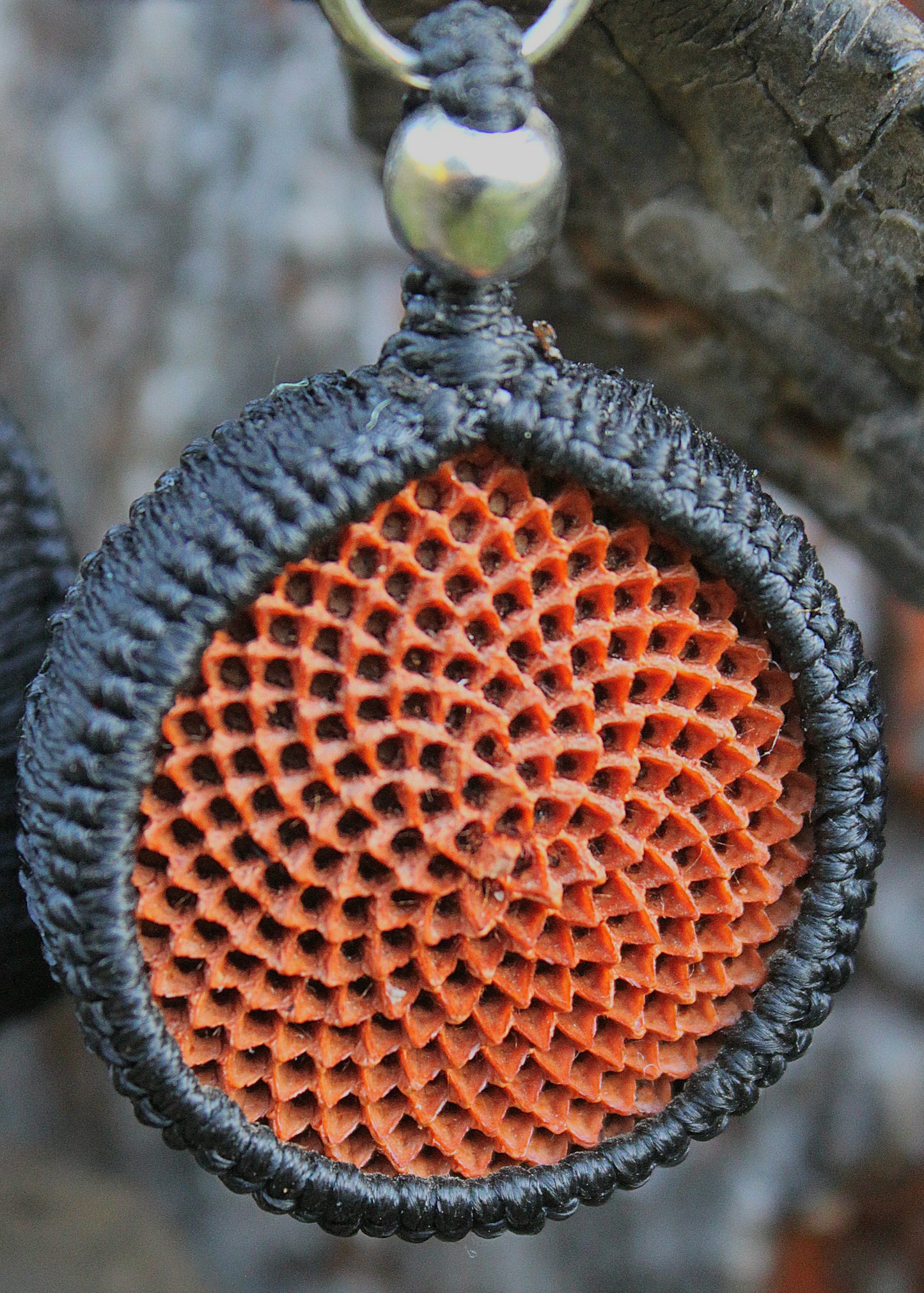 Protea macrame earrings