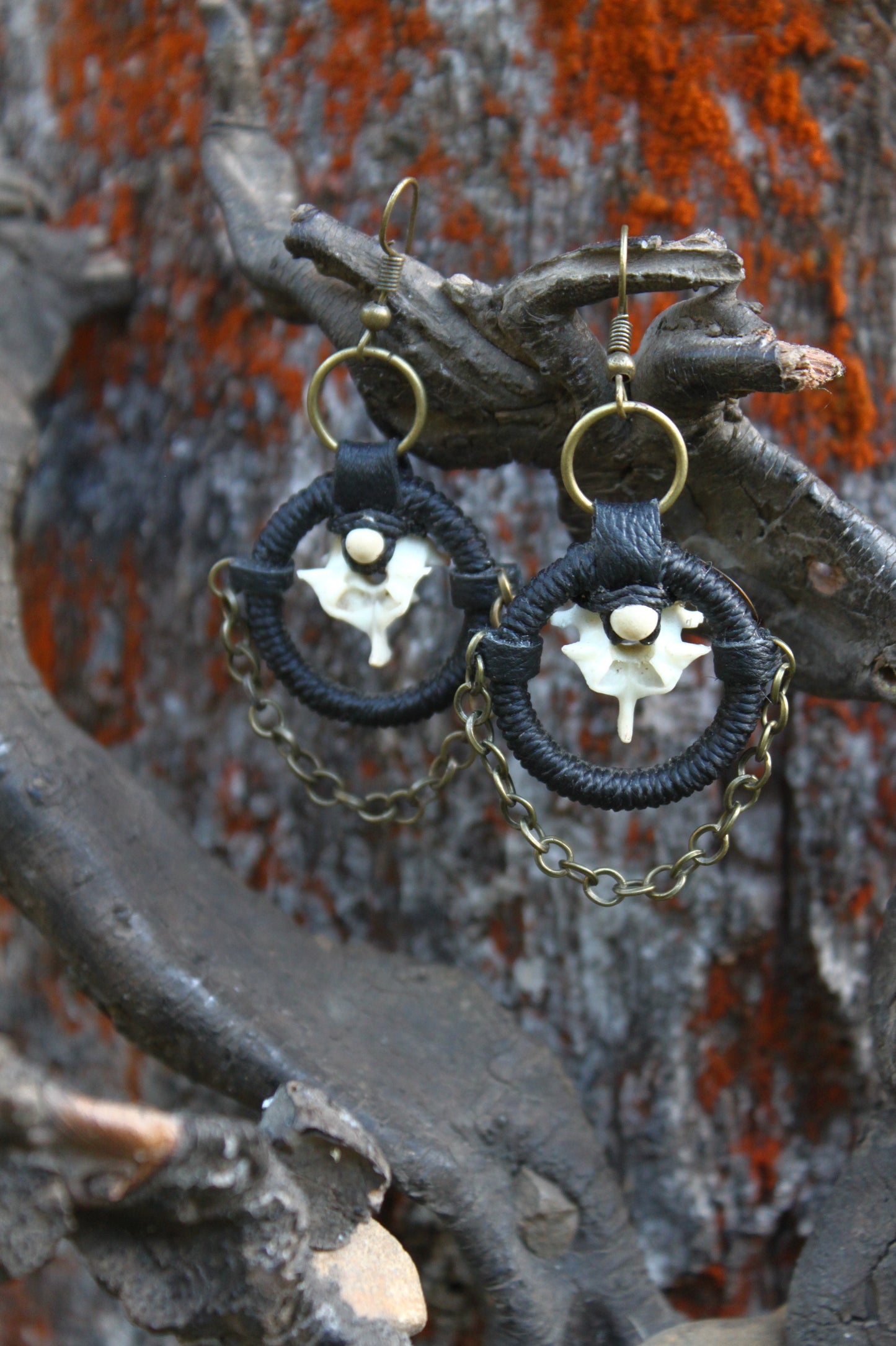 Serpent and brass earrings