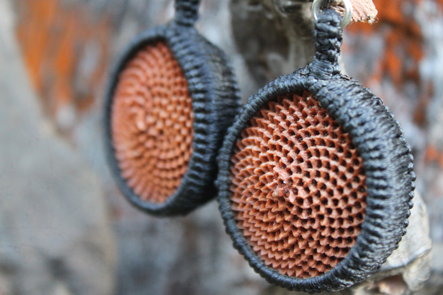 black macrame protea earrings